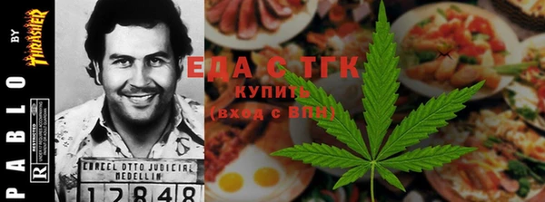 тгк Абаза