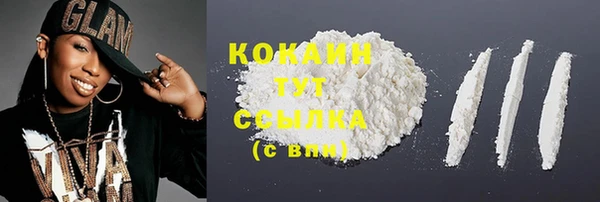 тгк Абаза
