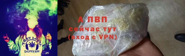 тгк Абаза