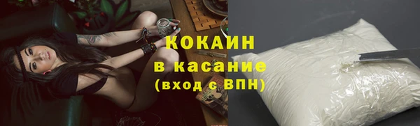тгк Абаза