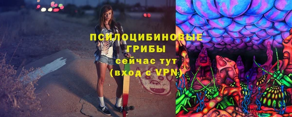 тгк Абаза
