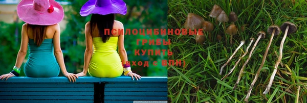ГАЛЛЮЦИНОГЕННЫЕ ГРИБЫ Абинск