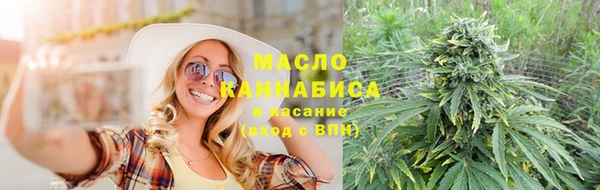тгк Абаза