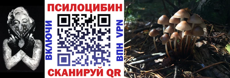 ссылка на мегу сайт  Алейск  Галлюциногенные грибы MAGIC MUSHROOMS 